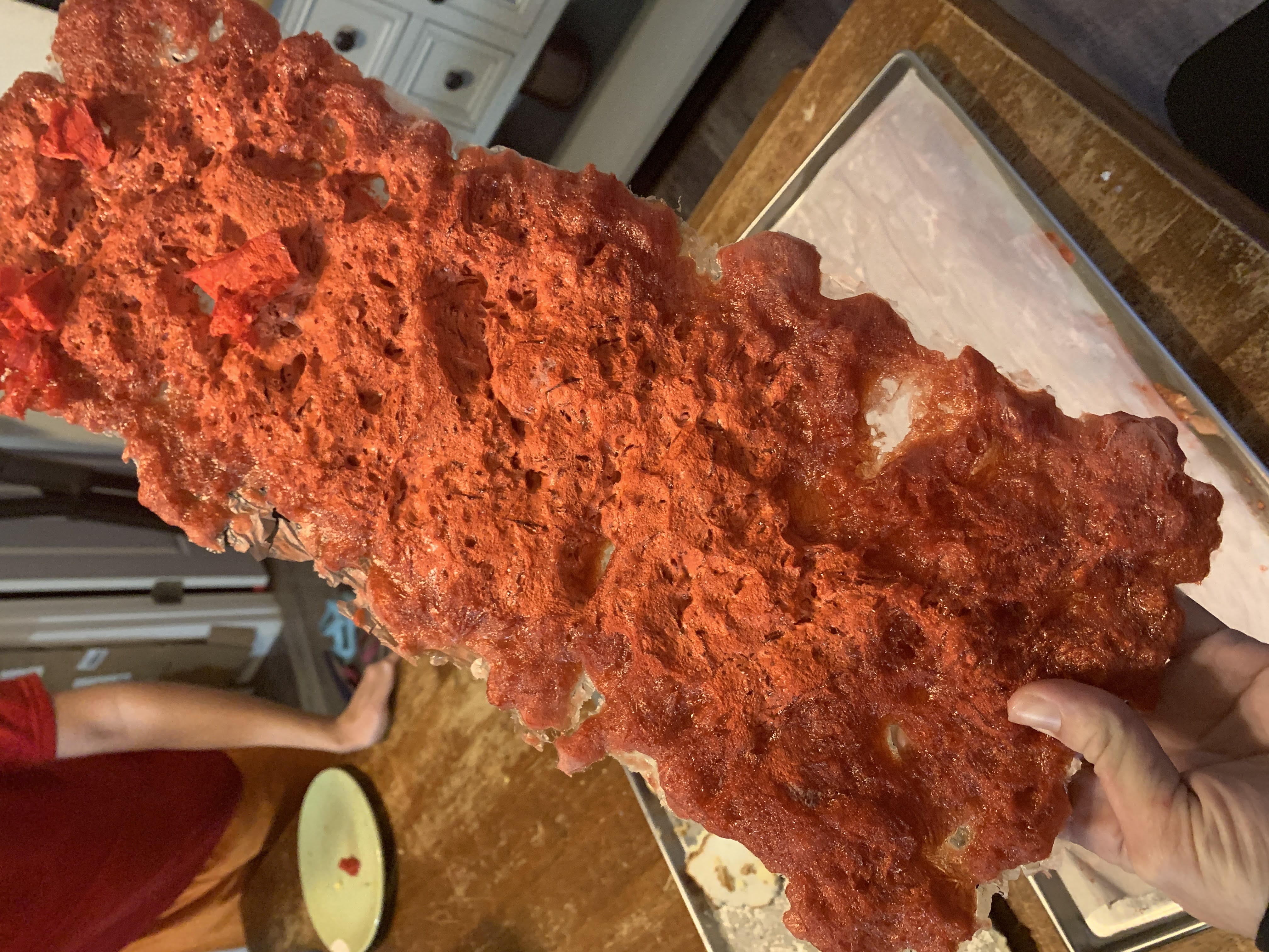 Freeze Dryer